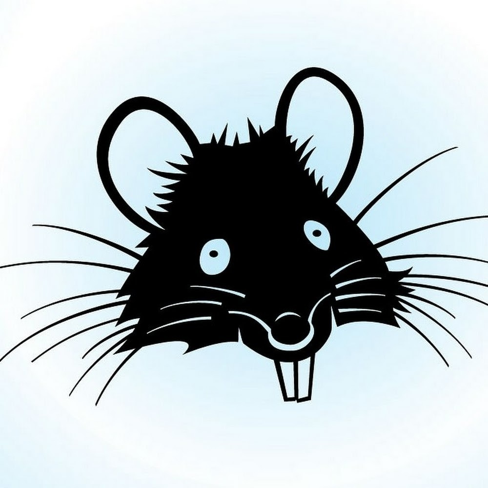 Meet your Posher, The rat house